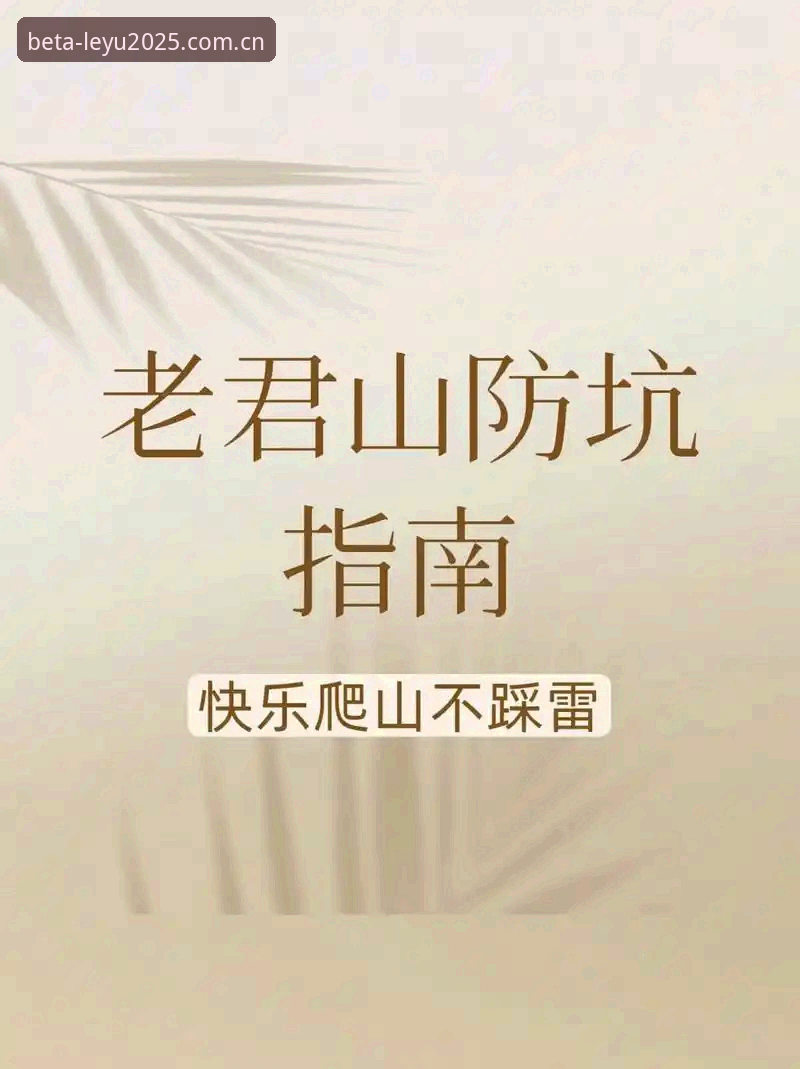 灵感2025独立入口注册教程实用指南：老用户手把手教你避开坑